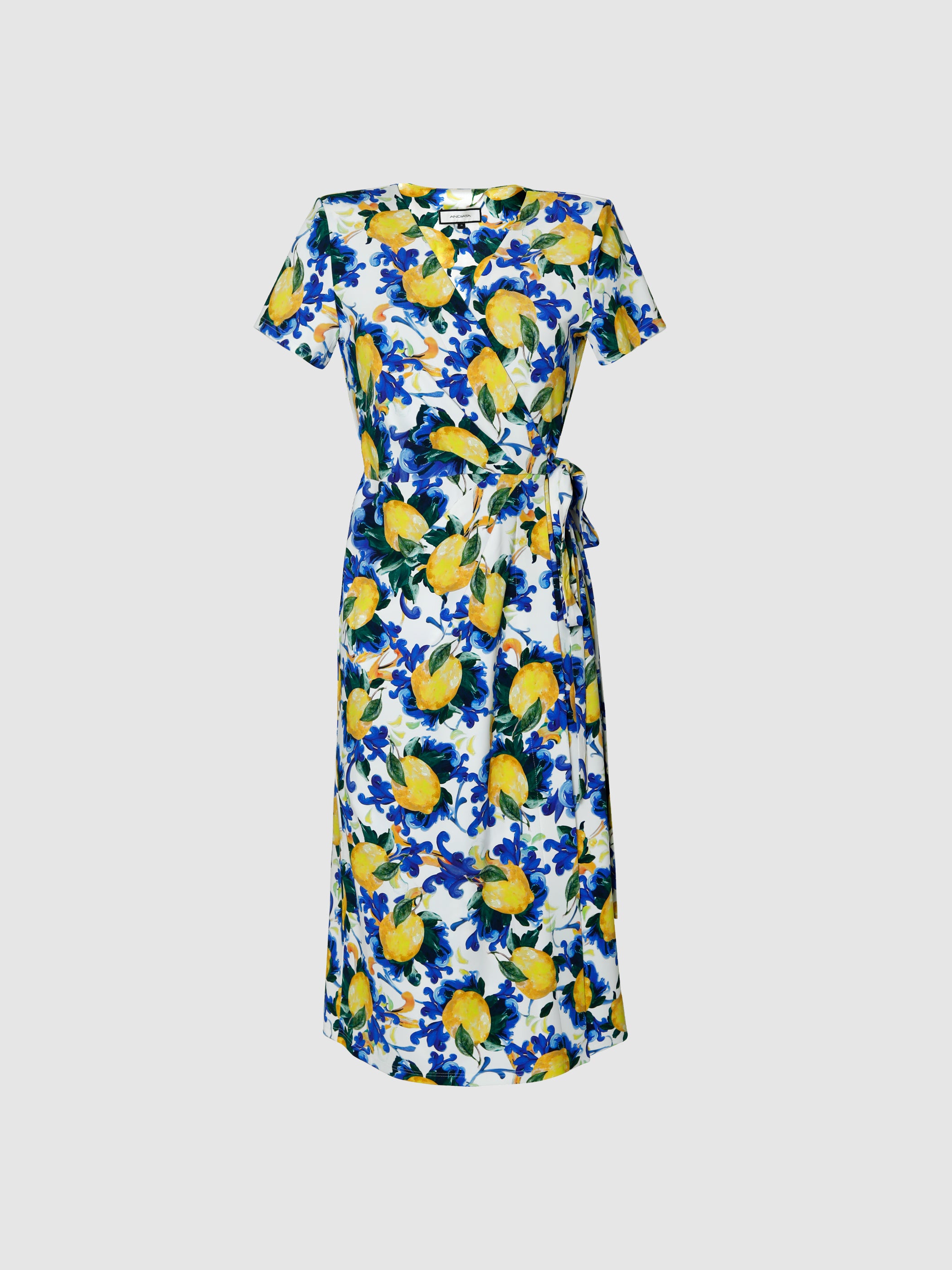 Darissa Dress
