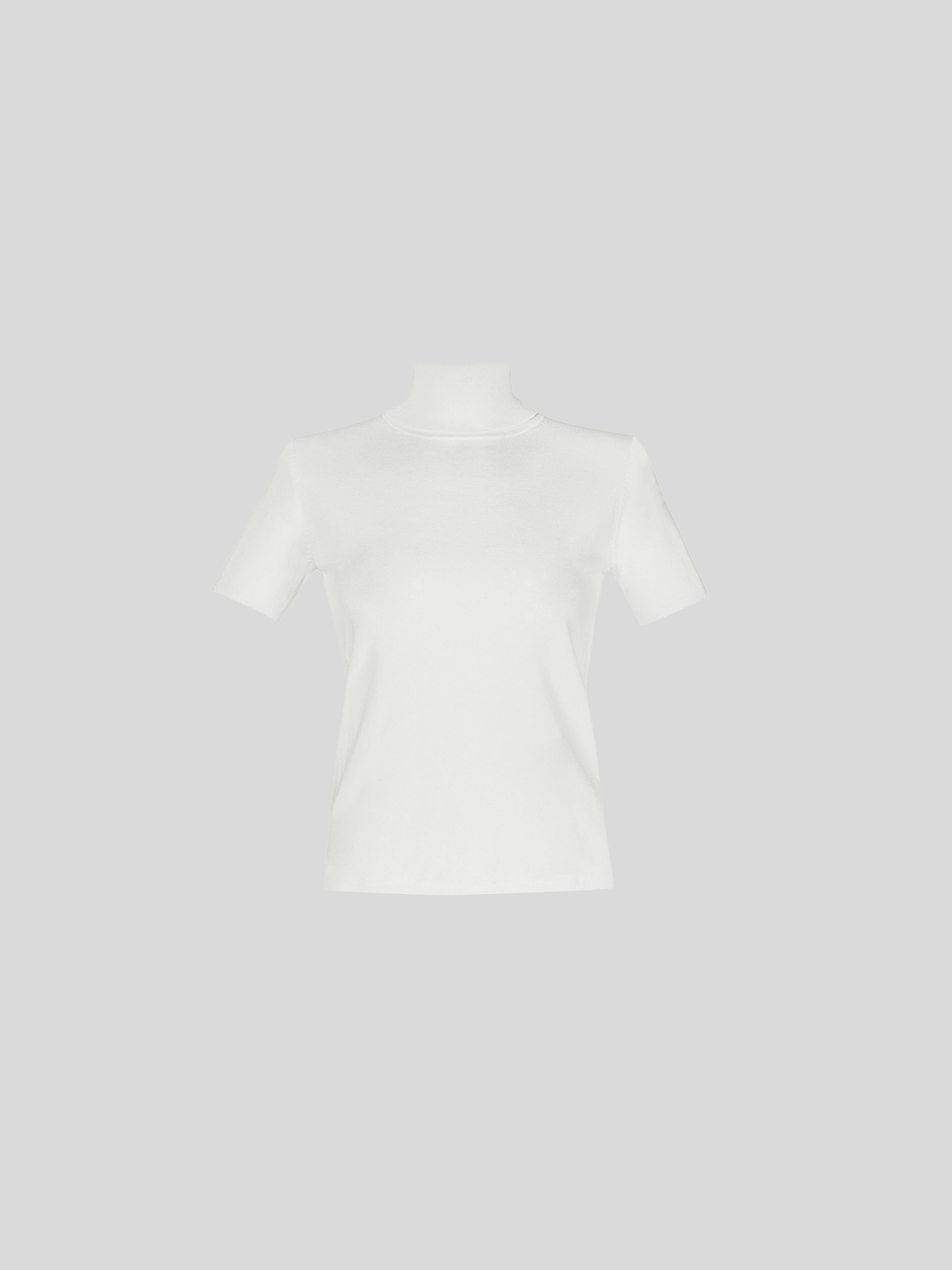 Pola Turtleneck Knit
