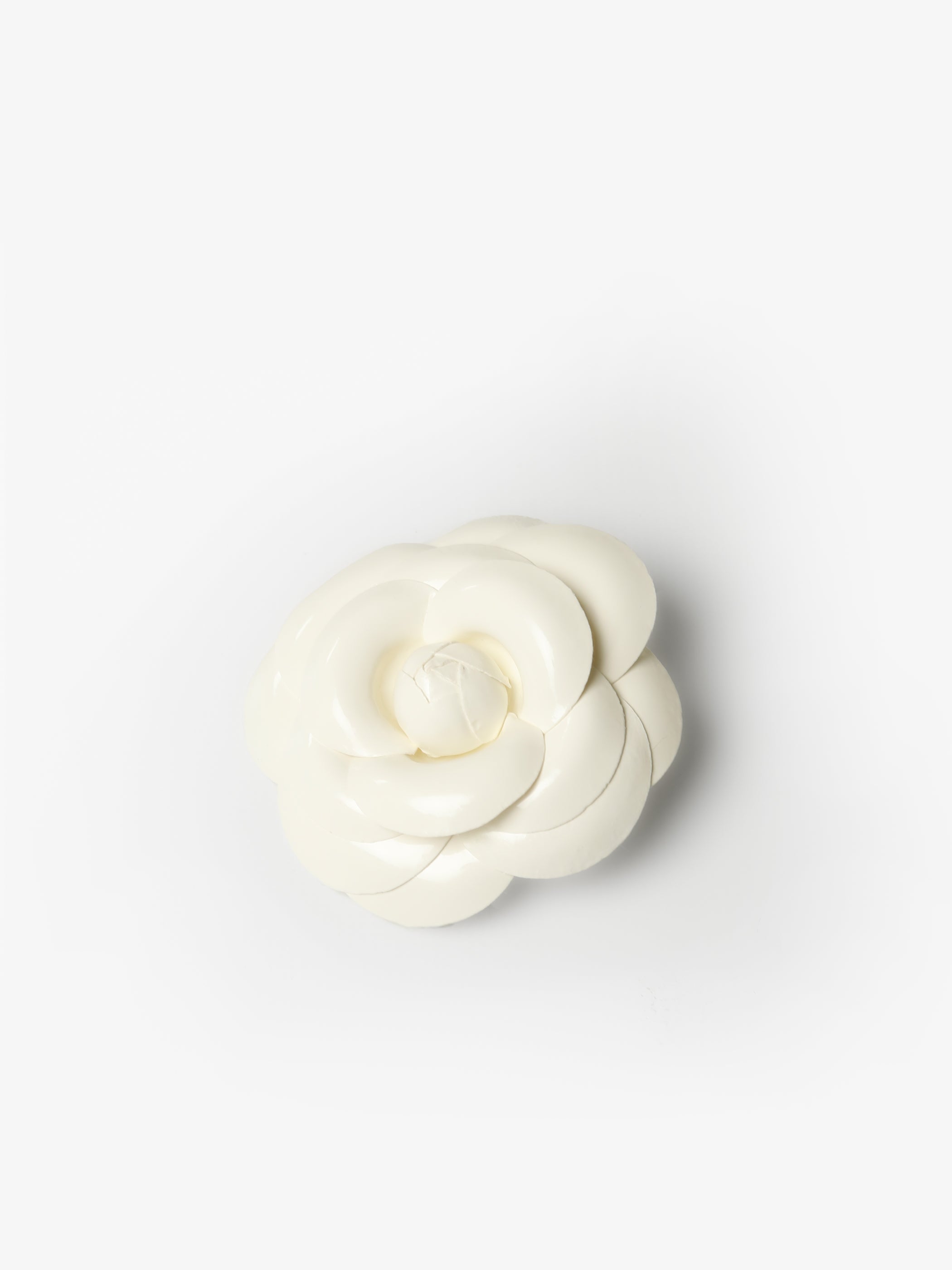 Roses Rintaneula
